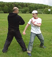 Click to see big picture (350x380 pixels; 42 KB)